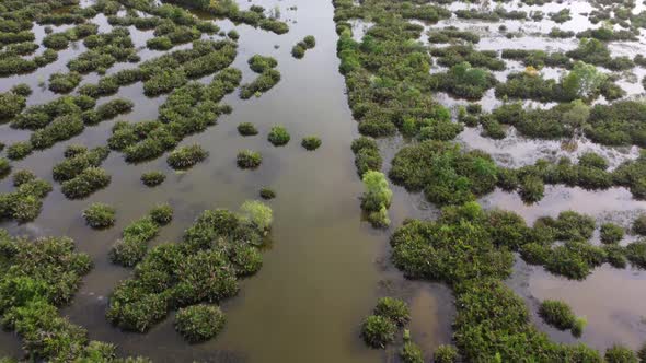 Aerial look down marsh at wetland