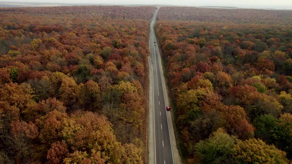 Autumn Landscape of a Beautiful Forest Straight Asphalt Road with Cars Moving on