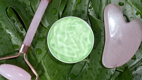 Green Cosmetic Cream with Rotation on Background of Tropical Leaves Monstera