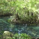 Mangrove and crystal clear water canal at Tha Pom Klong Song Nam mangrove, Krabi, Thailand - VideoHive Item for Sale