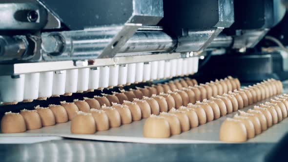 Automated Machinery is Producing Fudge Sweets