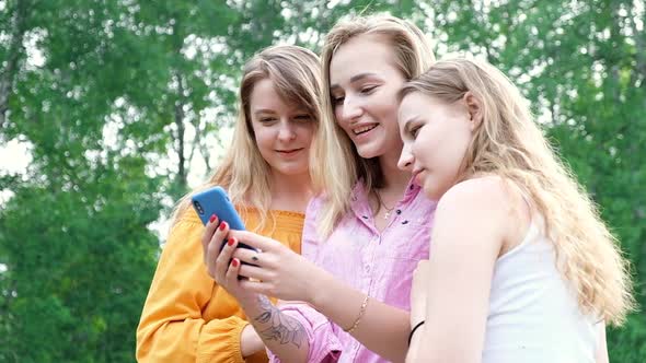 Friends in Park on picnic look at smartphone scroll through photo  in nature