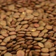 Rotation of a Brown Lentil - VideoHive Item for Sale
