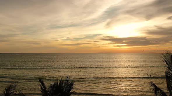 Beautiful Palm trees sunny or sunset on summer.