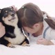 Mother and daughter playing with black dog on bed (7) - VideoHive Item for Sale