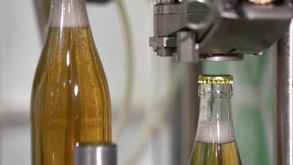 Bottling Lemonade in Glass Bottles at the Factory. Conveyor Belt with Glass Bottles. Conveyor Close