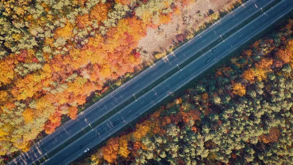 Aerial View of Road in Beautiful Autumn Forest at Sunset