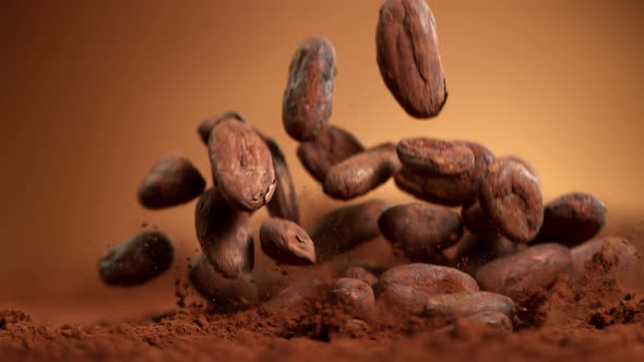 Super Slow Motion Shot of Raw Chocolate Beans Falling Into Cocoa Powder at 1000Fps.