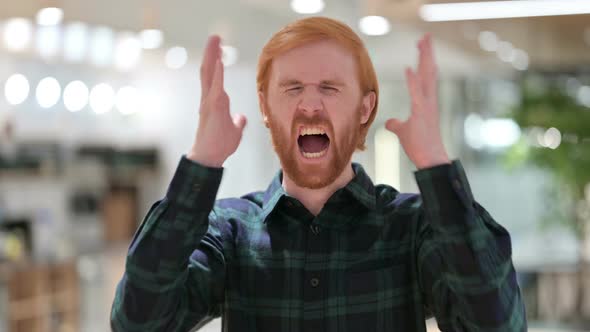 Portrait of Disappointed Beard Redhead Man Screaming, Shouting 