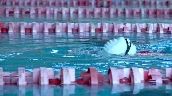 Swim Finish. Swimmer in Action in Waterpool with Blue Water at Sunny Day.