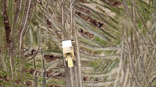 Aerial view harvesting ripe rice on paddy field by machine at Malaysia.