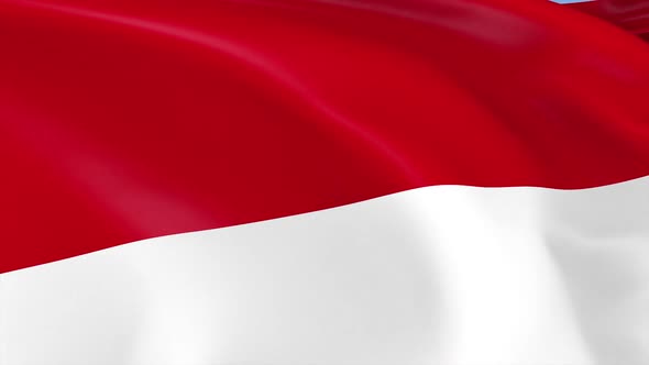 Indonesia Flag