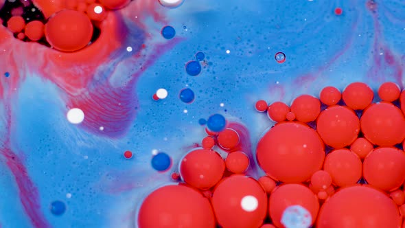 Amazing Red and Blue Bubbles of Paint on the Oil Surface
