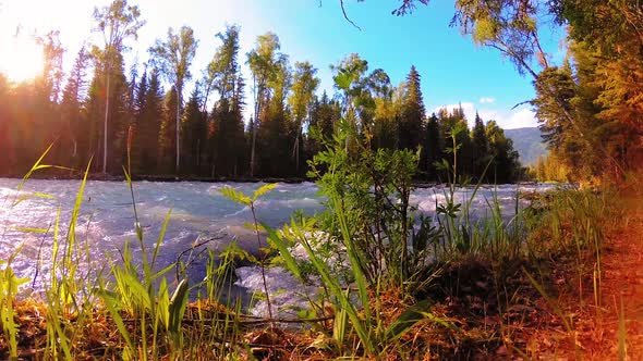 Meadow at Mountain River Bank