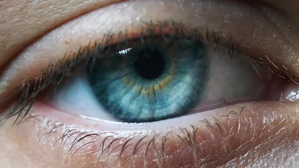 Beautiful Blue Woman Eye, Extreme Close-up. Sight. Detail View Young Girl's Eye