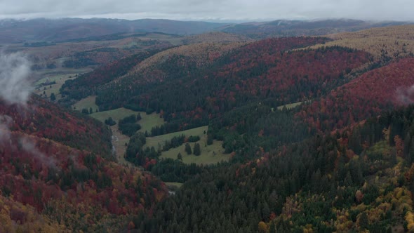 Panoramic View Of Colorful Forested Mountain Ridges During Autumn In Romania At Early Morning. - Aer