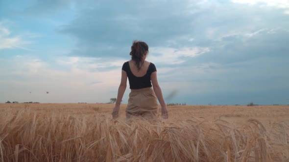 Girl Walks The Wheat Field At Sunset