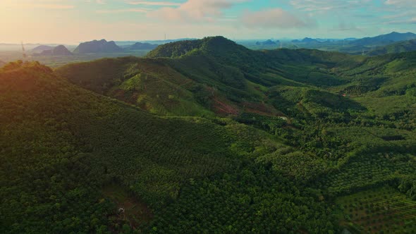 Drones are flying over tropical forests and large farmland