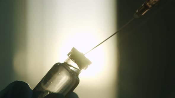 The Needle of the Syringe Takes Medicine From Glass Vial Against the Background of the Setting Sun