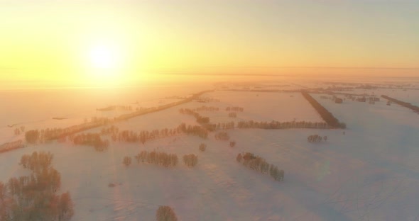 Aerial Drone View of Cold Winter Landscape with Arctic Field Trees Covered with Frost Snow and