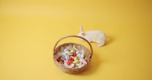 White Rabbit on a Yellow Isolated Background Plays with a Basket and Eggs