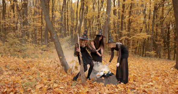 Girls in Witch Costumes Doing Magic in the Autumn Park