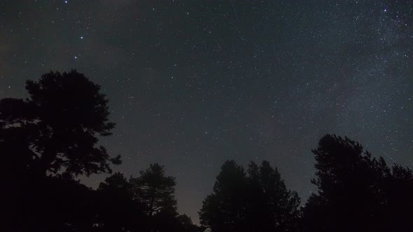 moving stars at night over over silhouette of trees in forest in Llogara national park, Albania