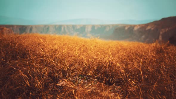 Golden Rocks and Grass in Mountains