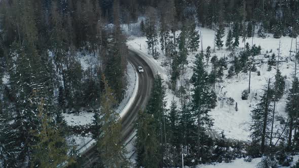 Aerial View Of Car Driving On Asphalt Road Between Forest Trees In Winter - aerial drone shot