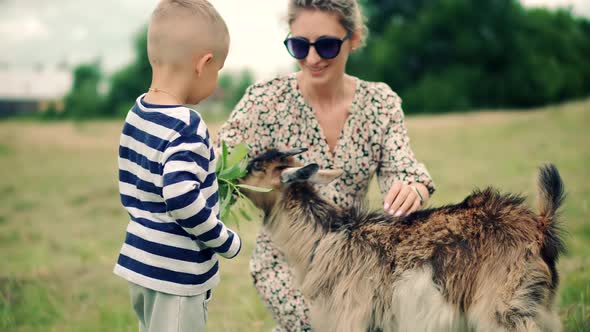 Son Relaxing Carefree Mother. Beautiful Family Cheerful Mom Playing Cute Little Child Boy On Park.