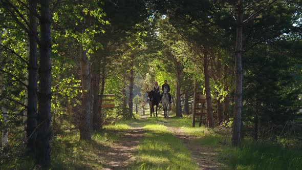 A Man and a Woman are Riding Along a Forest Road on Horseback