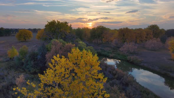 Full fall regalia in leaf and cloud as this spectacular sunset is imitated by the leaves below.