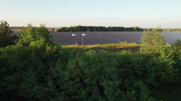 Aerial View Solar Power Station on Green Field at Sunset Solar Panels in Row