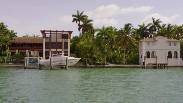 Houses and palm trees