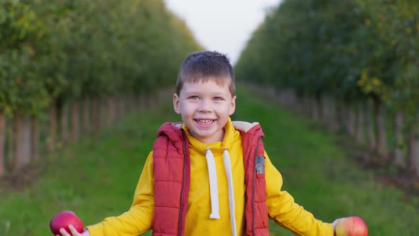 Carefree Childhood Little Cheerful Boy Has Fun Imitating His Eyes with Red Apples While Spending