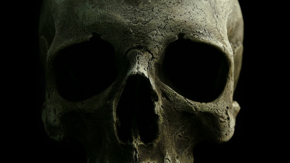 Ancient Weathered Skull Closeup Moving Shot