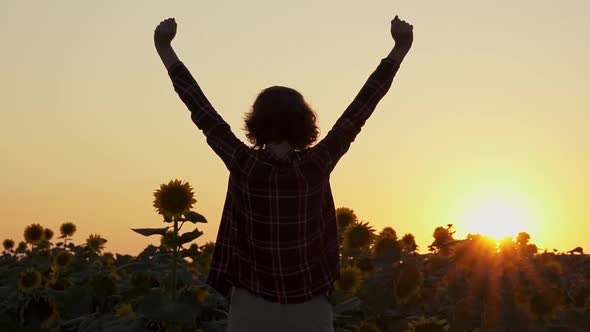 Woman Businessman Stands With Hands Up. Gesture Indicates Achievement Of Goal. Girl On Sunset