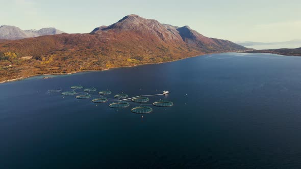 Salmon farming in scenic arctic circle, drone view of salmon pens