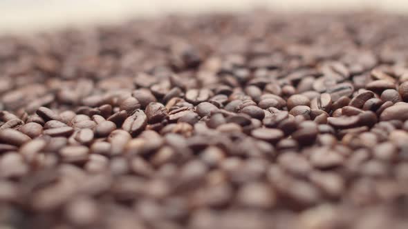 Focus on a Bunch of Roasted Coffee Beans Close Up