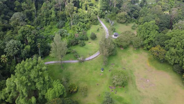 Aerial view Penang Botanical Garden