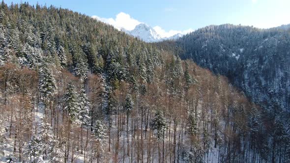 Drone over a forest in Tatra Mountains, Giewont massif in the background, Poland