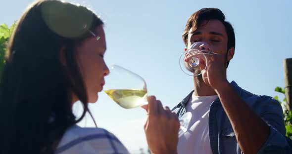 Happy couple toasting wine in vineyard 4k