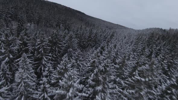 FPV Drone Clip From A Snow Covered Forest