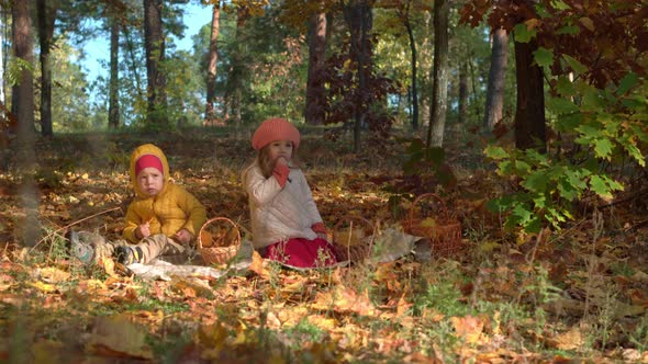 Authentic Little Cute Caucasian Preschool Siblings Children Girl and Boy Eating on Plaid in Fallen