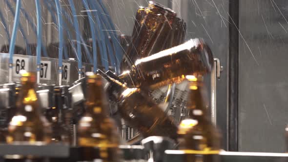 Beer Bottles on Conveyor Belt