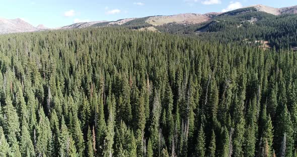 Mountain tops near Crested Butte Colorado 2019