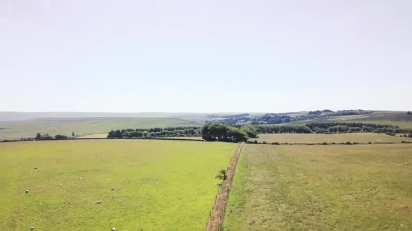 Aerial launch, rising over grassy pastures with livestock in Dartmoor