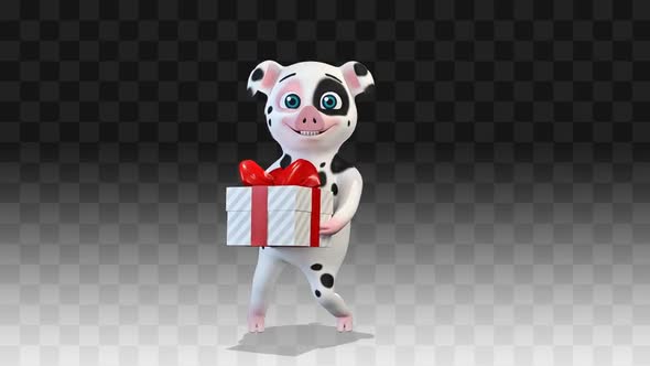 White Pig Congratulates And Dances With A Gift