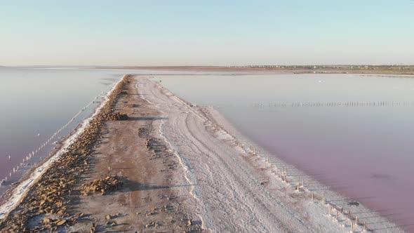 Salt lake with dried shore and pink water colored with alga Dunaliella salina at summer