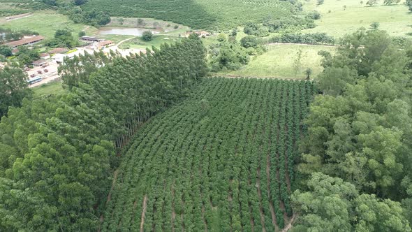 Rural landscape aerial view. Nature scenery